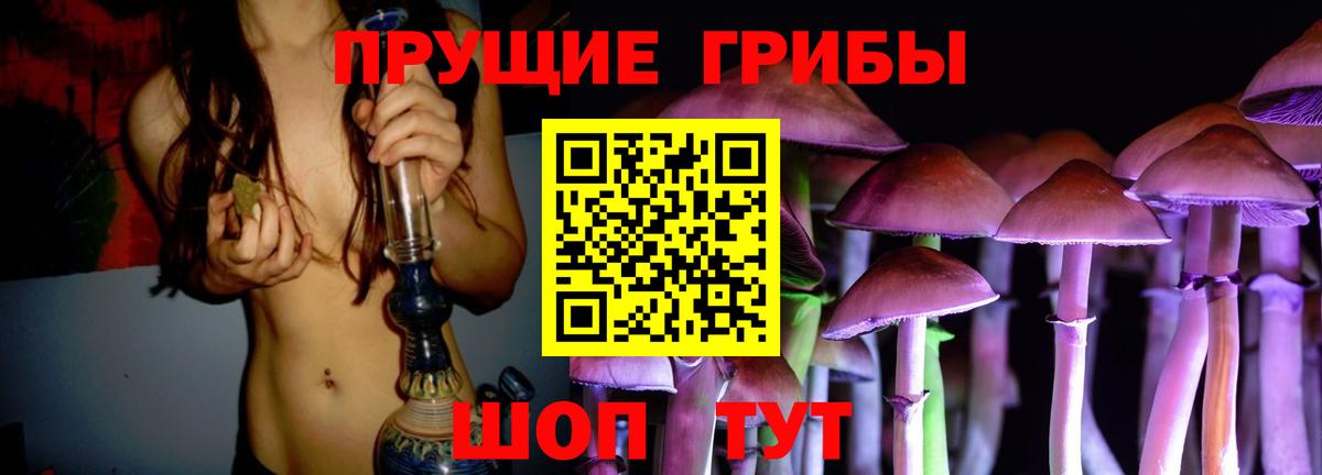 Псилоцибиновые грибы Psilocybine cubensis Иркутск